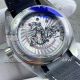 vsf replica omega Planet Ocean 600M grey dial black bezel watch (7)_th.jpg